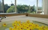 Туры в отель Zhi Resort • Riverside