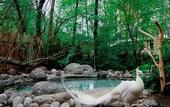 Туры в отель Zhi Resort • Riverside