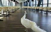Туры в отель Zhi Resort • Riverside