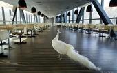 Туры в отель Zhi Resort • Riverside