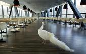 Туры в отель Zhi Resort • Riverside