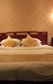 Туры в отель Shi Mao Garden Hotel