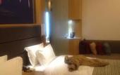 Туры в отель Atour Hotel (Xuanwu Lake, Xuanwumen), Nanjing