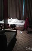 Туры в отель Jin Tai Long International Hotel