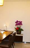 Туры в отель Boao Holliyard Seaview Hotel