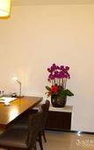 Туры в отель Boao Holliyard Seaview Hotel