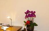 Туры в отель Boao Holliyard Seaview Hotel