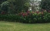Туры в отель Boao Holliyard Seaview Hotel