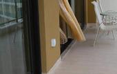 Туры в отель Boao Holliyard Seaview Hotel