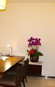 Туры в отель Boao Holliyard Seaview Hotel