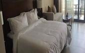 Туры в отель Boao Holliyard Seaview Hotel
