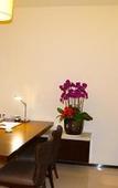 Туры в отель Boao Holliyard Seaview Hotel