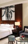 Туры в отель Boao Holliyard Seaview Hotel