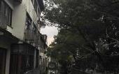 Туры в отель Jinling Nanlin Hotel
