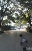 Туры в отель Jinling Nanlin Hotel