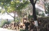 Туры в отель Jinling Nanlin Hotel