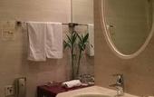 Туры в отель Jinling Nanlin Hotel