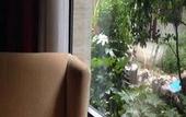 Туры в отель Jinling Nanlin Hotel