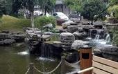 Туры в отель Jinling Nanlin Hotel