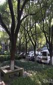 Туры в отель Jinling Nanlin Hotel