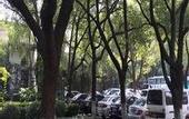 Туры в отель Jinling Nanlin Hotel