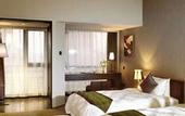 Туры в отель Jasmine International Hotel