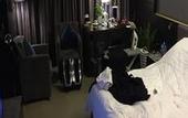 Туры в отель Jasmine International Hotel