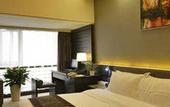 Туры в отель Jasmine International Hotel