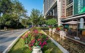 Туры в отель Jasmine International Hotel
