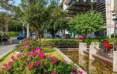 Туры в отель Jasmine International Hotel