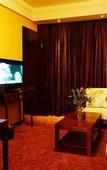 Туры в отель GOLD RIVER-SIDE HOTEL WUZHEN