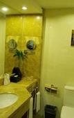 Туры в отель GOLD RIVER-SIDE HOTEL WUZHEN