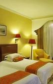 Туры в отель GOLD RIVER-SIDE HOTEL WUZHEN