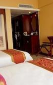 Туры в отель GOLD RIVER-SIDE HOTEL WUZHEN