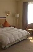 Туры в отель Conch International Hotel