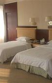 Туры в отель Conch International Hotel