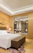 Туры в отель Wanda Realm Fushun