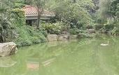 Туры в отель Qingyuan Qingxin Garden Hotel