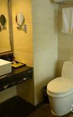 Туры в отель Hangzhou Wanshang International Rezen Hotel