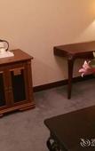 Туры в отель Ye Feng Garden Hotel