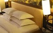 Туры в отель Ye Feng Garden Hotel