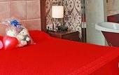 Туры в отель Zhenbao Holiday Hotel (Nanjing Fengtai South Road)