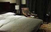 Туры в отель Zhenbao Holiday Hotel (Nanjing Fengtai South Road)
