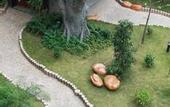 Туры в отель Venus International Hotel (Huizhou West Lake Shuidong Street Branch)