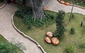 Туры в отель Venus International Hotel (Huizhou West Lake Shuidong Street Branch)