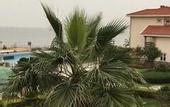 Туры в отель Asia Gulf Hotel
