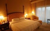 Туры в отель Asia Gulf Hotel
