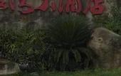 Туры в отель Asia Gulf Hotel