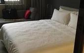 Туры в отель Excel Hotel