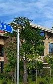 Туры в отель GUANGYUE HUA HOTELS AND RESORTS